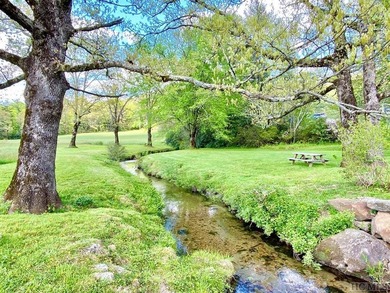 Between two North Carolina mountain ridges lies an expansive - photo 6
