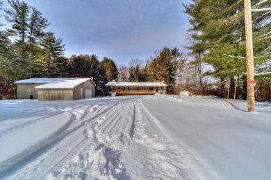 Lake Home For Sale in Gowen, Michigan