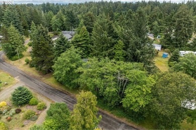 Escape to the peaceful beauty of the Ocean Park, Wa with this - photo 2