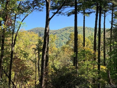 Between two North Carolina mountain ridges lies an expansive - photo 2