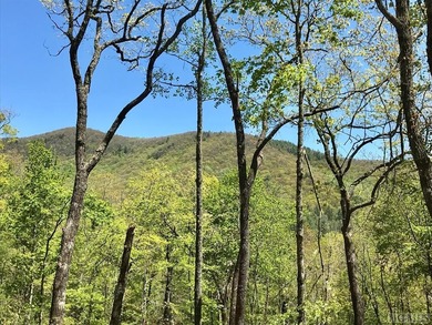 Between two North Carolina mountain ridges lies an expansive - photo 3