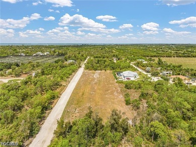 Need room to spread out! Cleared 1/2 acre lot with two adjacent - photo 11