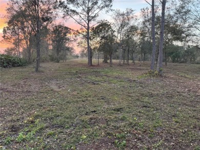 (private lake, pond, creek) Acreage For Sale in Frostproof Florida