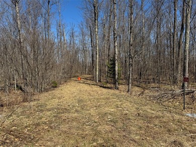 Tucked away in the quiet Northwoods of Ojibwa, WI, this - photo 13