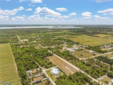 Need room to spread out! Cleared 1/2 acre lot with two adjacent - photo 15