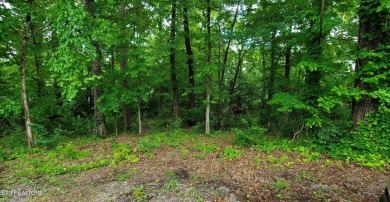 Lake Lot For Sale in Loudon, Tennessee