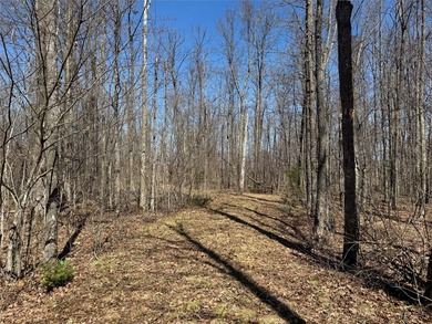Tucked away in the quiet Northwoods of Ojibwa, WI, this - photo 23