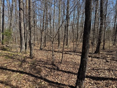 Tucked away in the quiet Northwoods of Ojibwa, WI, this - photo 24