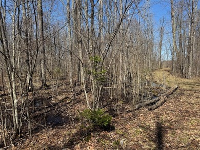 Tucked away in the quiet Northwoods of Ojibwa, WI, this - photo 25
