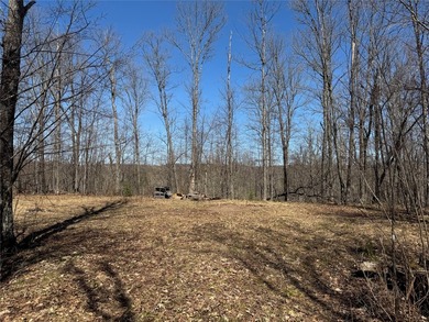 Tucked away in the quiet Northwoods of Ojibwa, WI, this - photo 28