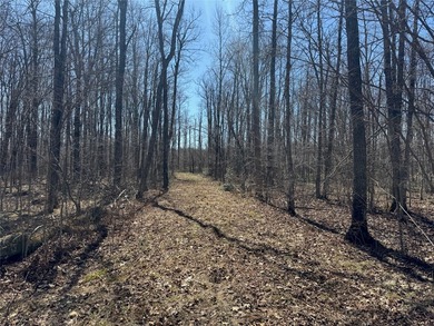 Tucked away in the quiet Northwoods of Ojibwa, WI, this - photo 30