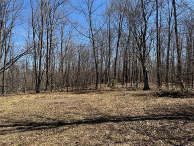 Tucked away in the quiet Northwoods of Ojibwa, WI, this - photo 31
