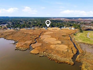 Panoramic views of Winyah Bay await you in this gorgeous *to be - photo 3