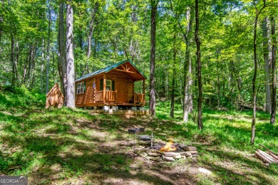 Lake Acreage For Sale in Ellijay, Georgia