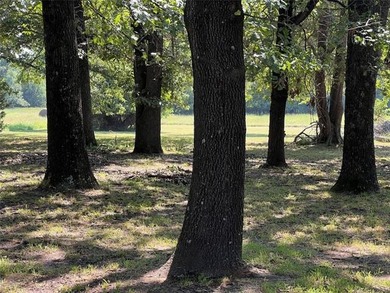 GEORGEOUS 1.06 ACRE LOT TO BUILD YOUR DREAM HOME ON. This - photo 4