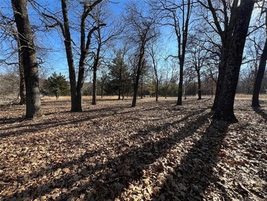 GEORGEOUS 1.06 ACRE LOT TO BUILD YOUR DREAM HOME ON. This - photo 6