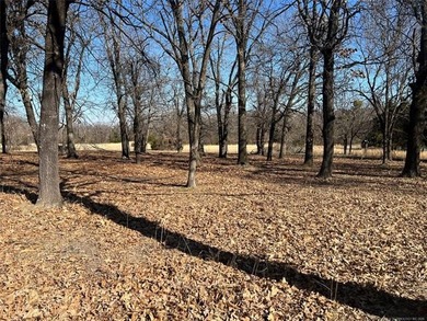 GEORGEOUS 1.06 ACRE LOT TO BUILD YOUR DREAM HOME ON. This - photo 8