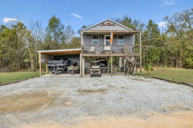 Lake Home For Sale in Linden, Tennessee