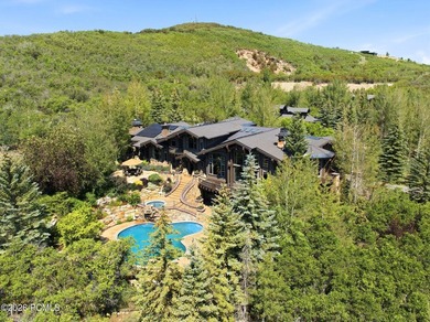 35 Sandstone Cove Court is a rare in-town estate offering 4.16 - photo 2