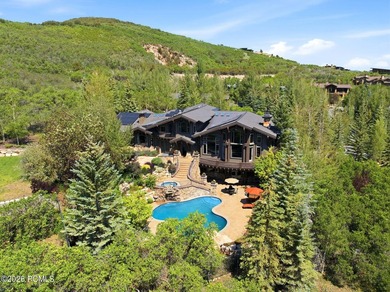 35 Sandstone Cove Court is a rare in-town estate offering 4.16 - photo 4