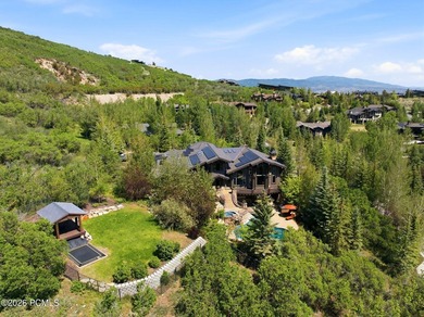 35 Sandstone Cove Court is a rare in-town estate offering 4.16 - photo 5