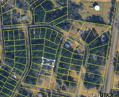 SELLER HAS A LAND SURVEY FOR THIS LOT!!! This is a nice, level - photo 3