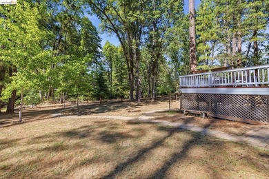Experience the beauty of foothill living in this elegant home - photo 30