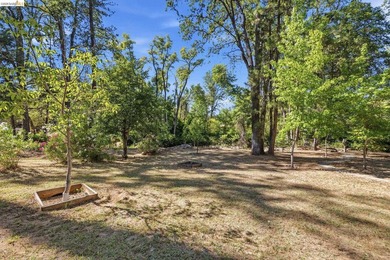 Experience the beauty of foothill living in this elegant home - photo 31