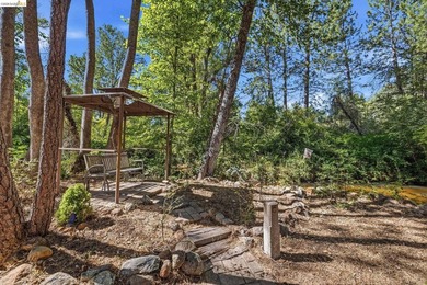 Experience the beauty of foothill living in this elegant home - photo 32