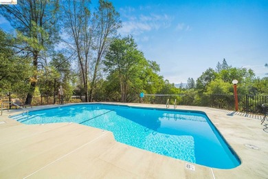 Experience the beauty of foothill living in this elegant home - photo 34