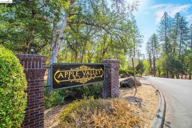 Experience the beauty of foothill living in this elegant home - photo 35
