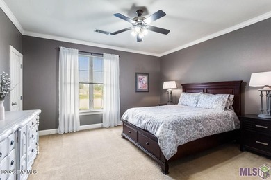 Rare lakefront opportunity near LSU! This beautifully maintained - photo 9