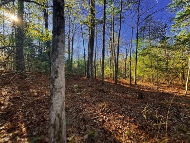 Lake Lot For Sale in Brookeland, Texas