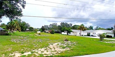 Lake Wales  Lot For Sale in Lake Wales Florida