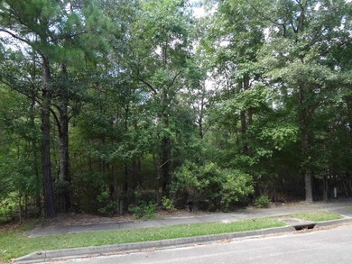 (private lake, pond, coastal) Lot For Sale in Georgetown South Carolina