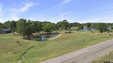 Lake Bob Sandlin Lot For Sale in Pittsburg Texas