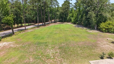 Escape the ordinary to the extraordinary. This 3BR/2BA lake are - photo 3
