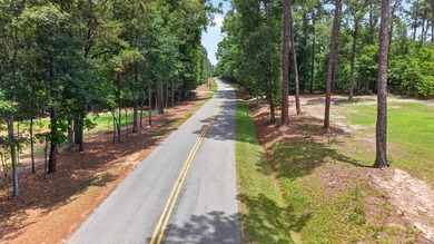 Escape the ordinary to the extraordinary. This 3BR/2BA lake are - photo 6