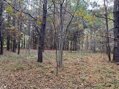 Beaufort River Lot For Sale in Saint Helena Island South Carolina