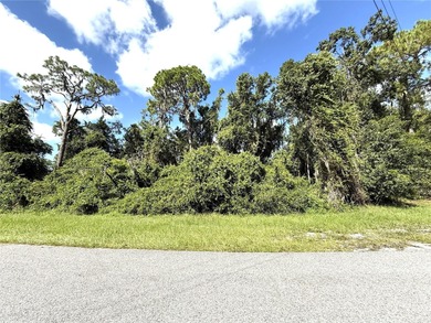 Reedy Lake Lot For Sale in Frostproof Florida