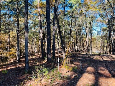 A beautiful, wooded waterfront lot located in the newest - photo 3