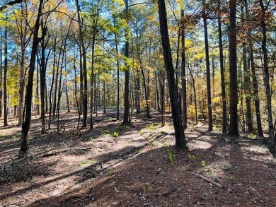 A beautiful, wooded waterfront lot located in the newest - photo 4