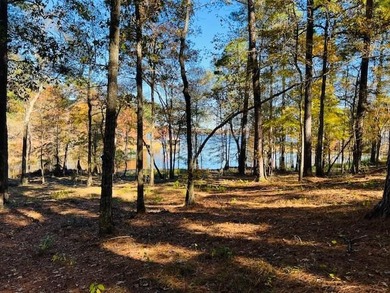 A beautiful, wooded waterfront lot located in the newest - photo 5
