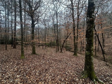 Lake Harding Lot Active Under Contract in Valley Alabama