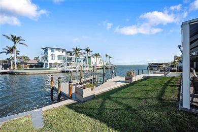 Extremely rare opportunity to own a premium bayfront property in - photo 9
