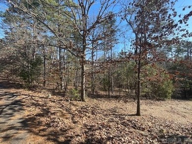 Nice buildable lot close to Lake Balboa. Lake neighborhood. New - photo 3