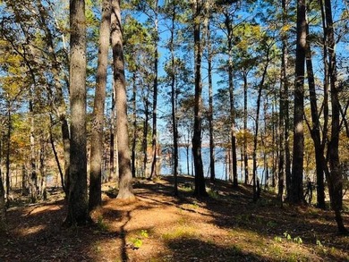 This 1.046 acre waterfront lot is located in the newly developed - photo 2