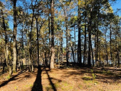 This 1.046 acre waterfront lot is located in the newly developed - photo 4