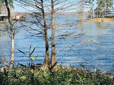 Toledo Bend Lake Lot For Sale in Milam Texas