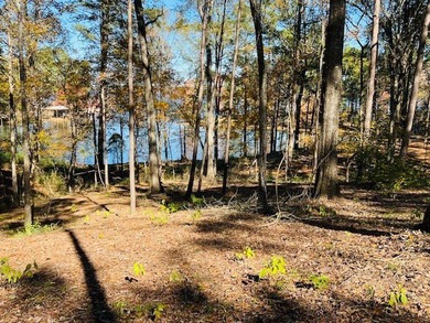 A Beautiful building site on this 1.69 acre waterfront lot - photo 2